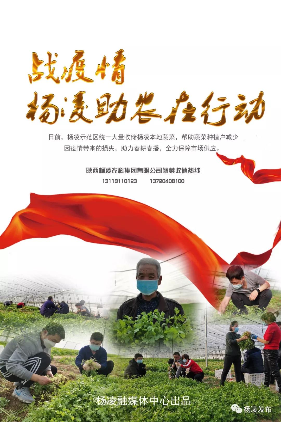微信图片_20200219094030