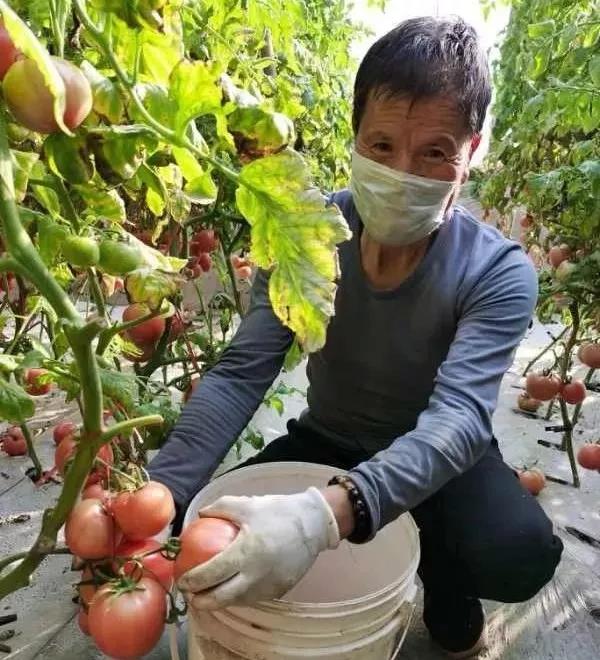 微信图片_20200219094338