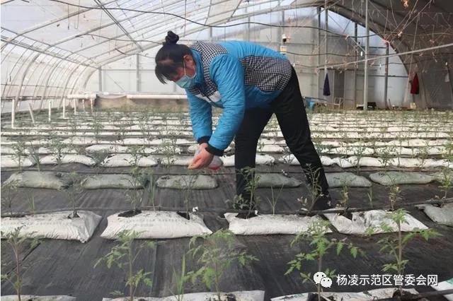 微信图片_20200221091000.jpg