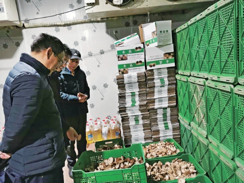 安徽泾县：产业扶贫点燃“新生之火”