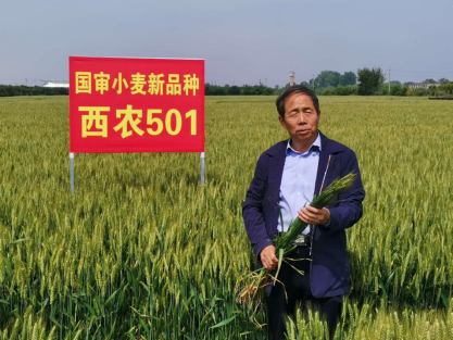 牢记谆谆嘱托 奋力谱写陕西新时代追赶超越新篇章459