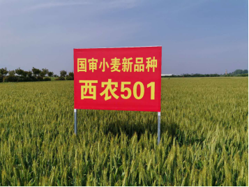 牢记谆谆嘱托 奋力谱写陕西新时代追赶超越新篇章267