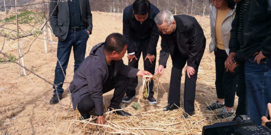 6-4-（定稿）聽(tīng)陜北果農(nóng)講油菜花和蘋果樹(shù)的故事(2)915