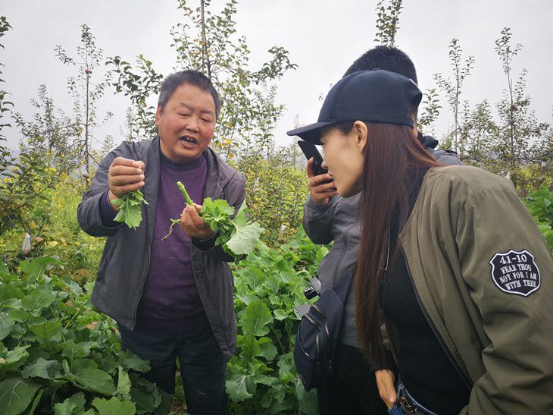 6-4-（定稿）聽(tīng)陜北果農(nóng)講油菜花和蘋果樹(shù)的故事(2)1399