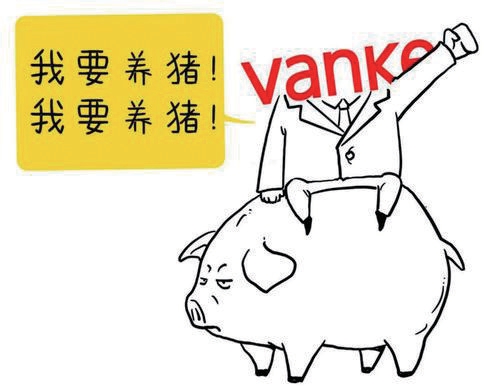 跨界養(yǎng)豬　是風(fēng)尚也是考驗(yàn)