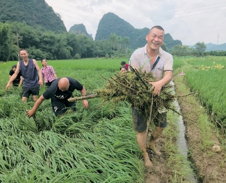 廣西平樂組織農(nóng)戶及時搶種補種