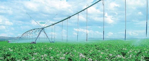 河南：建立全省農(nóng)田節(jié)水技術(shù)體系