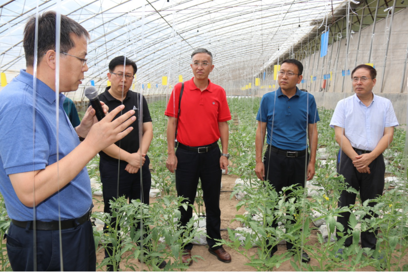 1_1_7-24-（综合消息）陕西省设施蔬菜科技创新与试验示范观摩研讨会1675