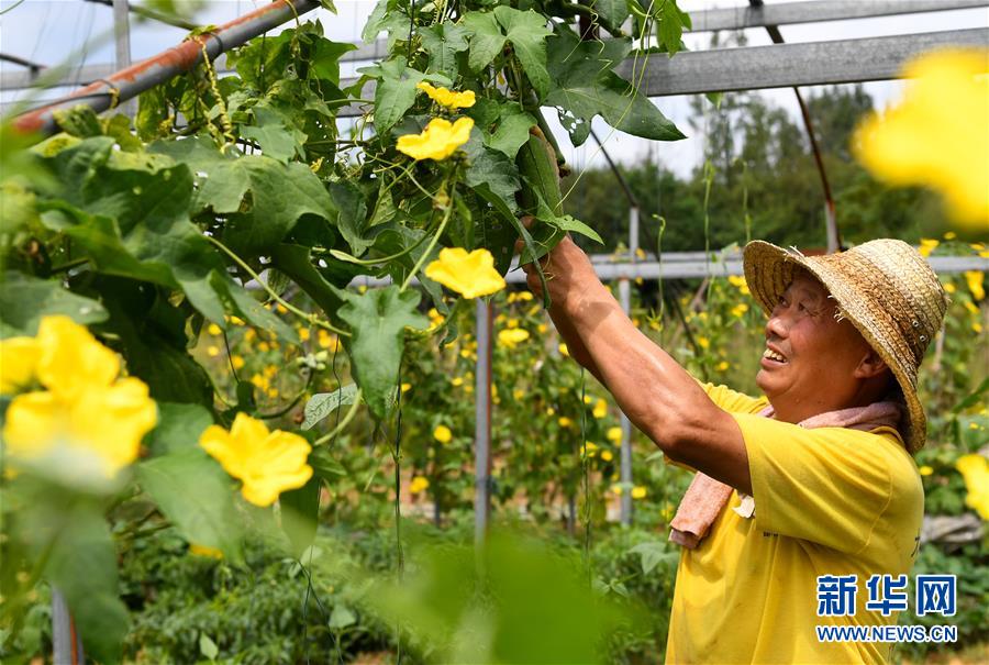 （社會）（3）電商進村助扶貧 農民增收奔小康