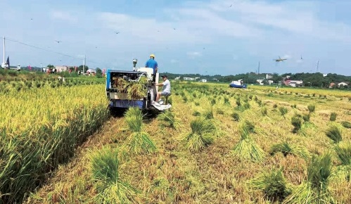 農(nóng)機獎補層層加　農(nóng)戶購機實惠多