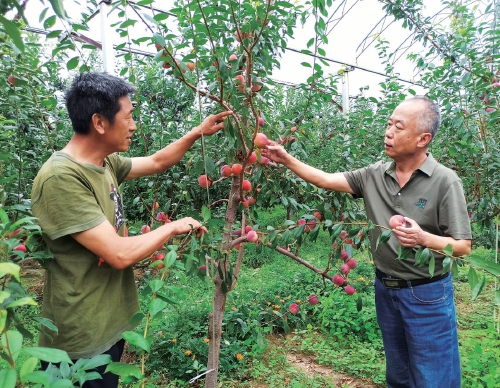 科技開創(chuàng)“李杏”新時代