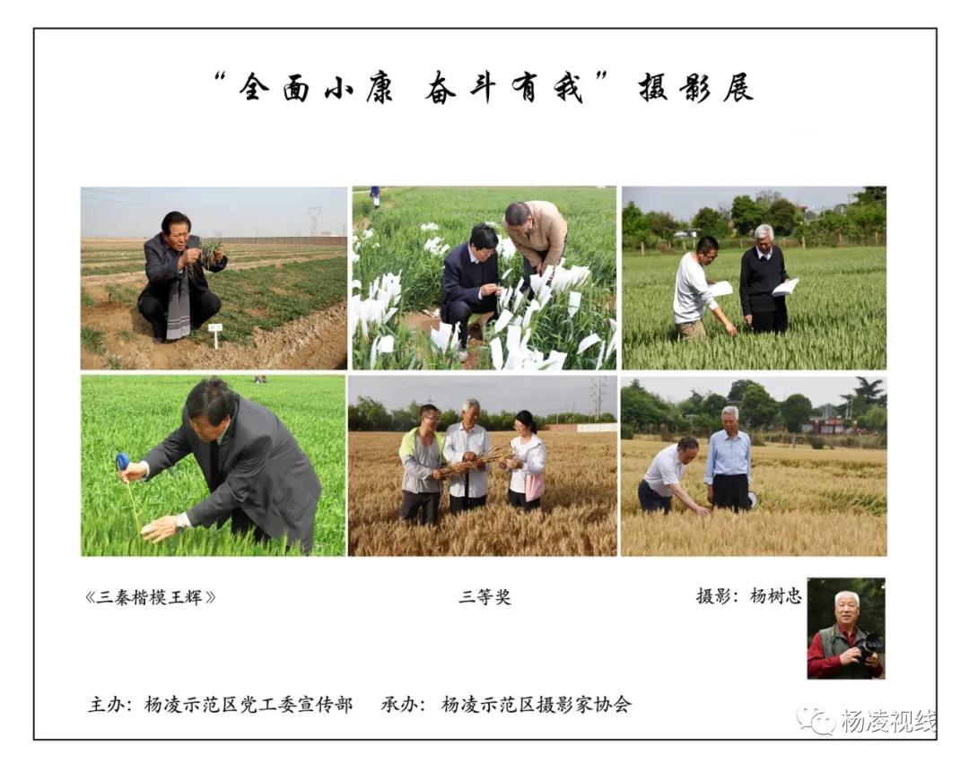 微信图片_20201002203840