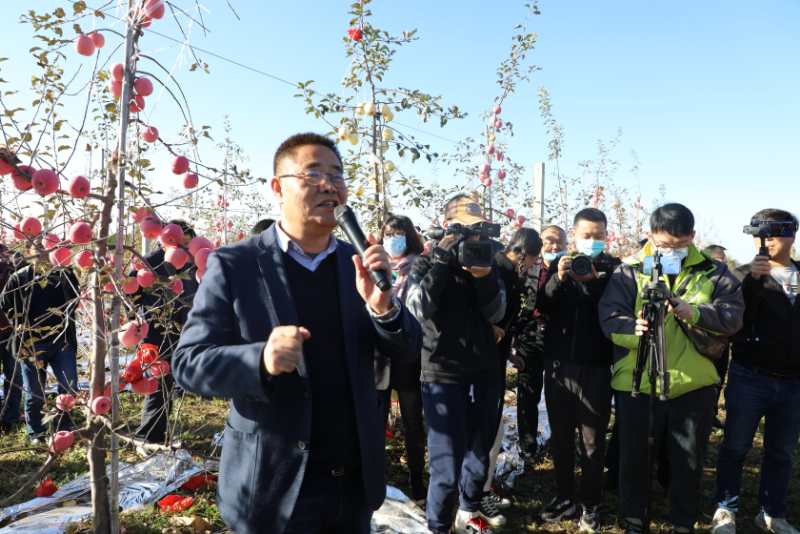 微信图片_20201016153127