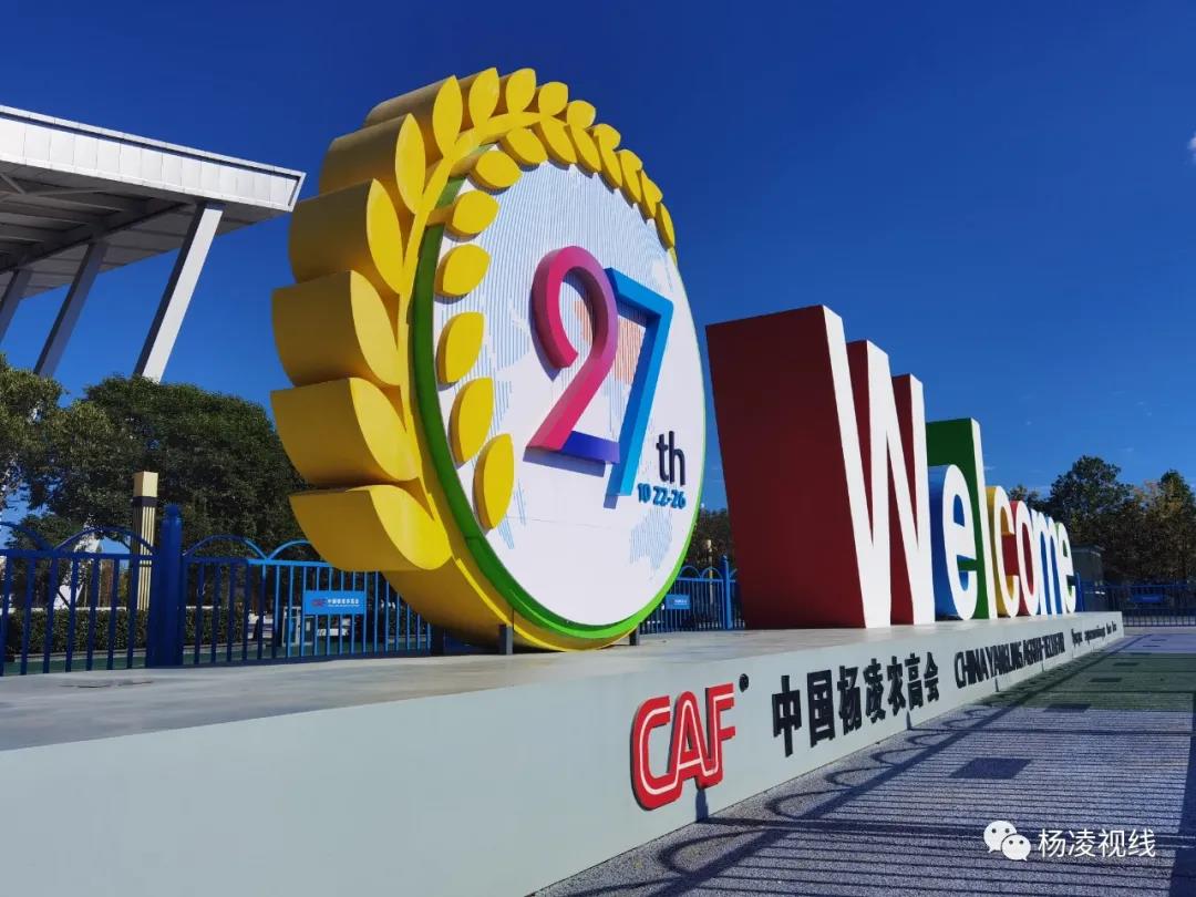 微信图片_20201019141947