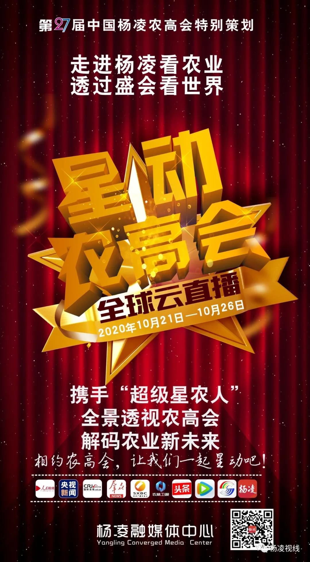 微信图片_20201019142648