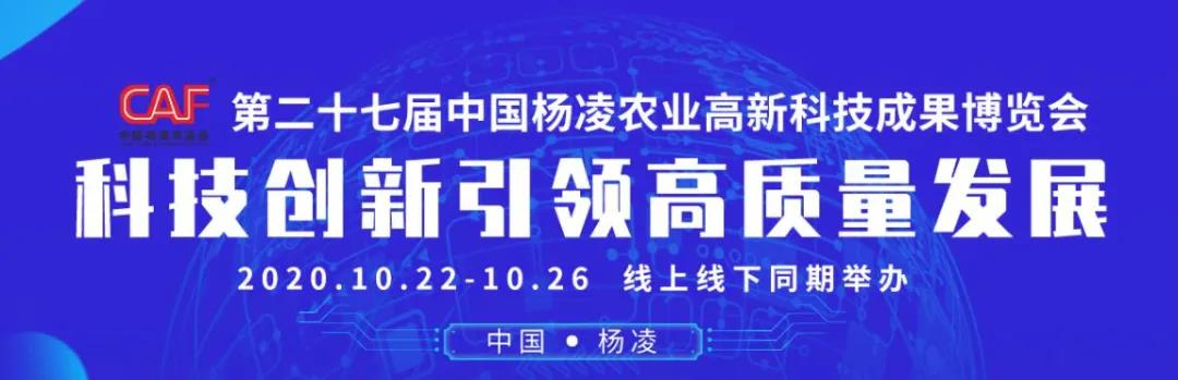 微信图片_20201020095012