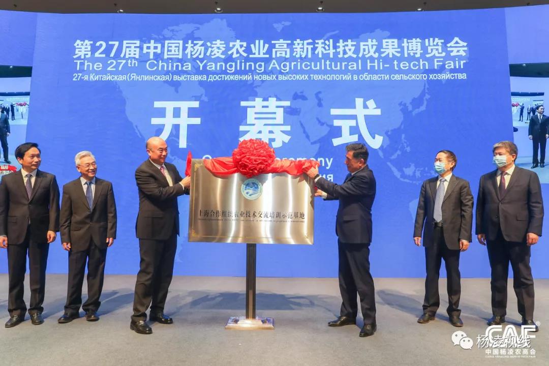 微信图片_20201022175902