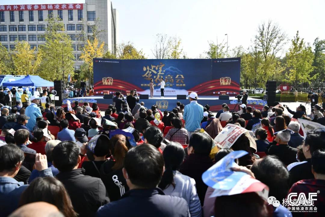 微信图片_20201023170212