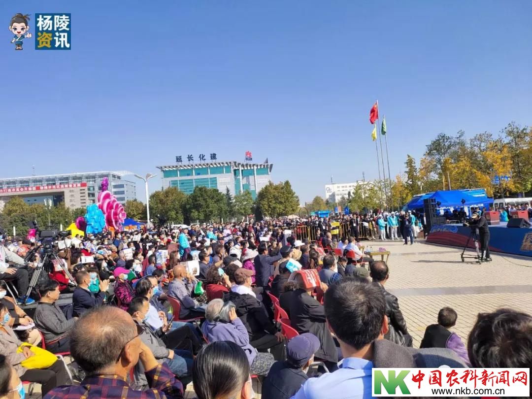微信图片_20201023170215