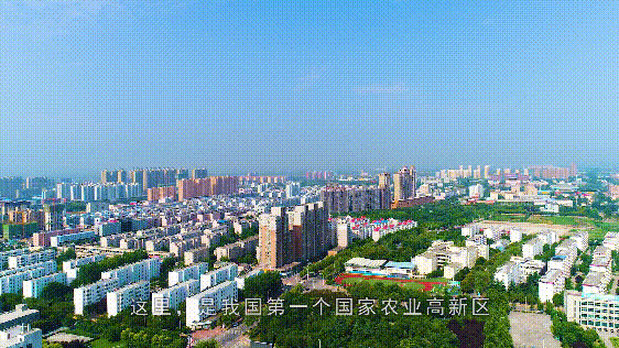 8c840c2ccf1bfc93042fd55434d0d81d.gif