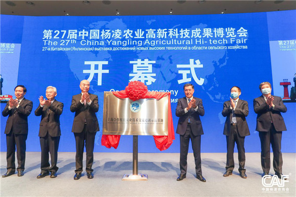（有修改）（有修改 加急）分享农业技术助力乡村振兴 杨凌示范区国际国内“齐步走”