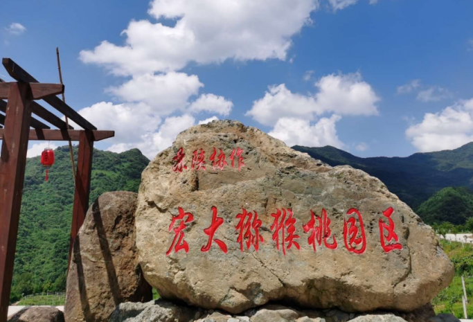 cc8478c731e389e42d88b55550205bf9.png