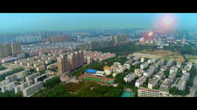 1.gif