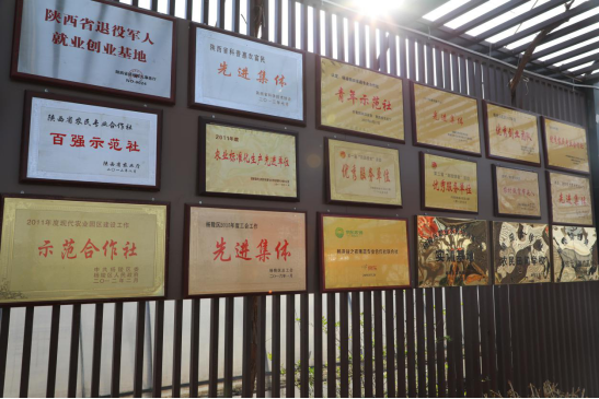 保春耕促生产  李海平：大棚里的“幸福年”1180