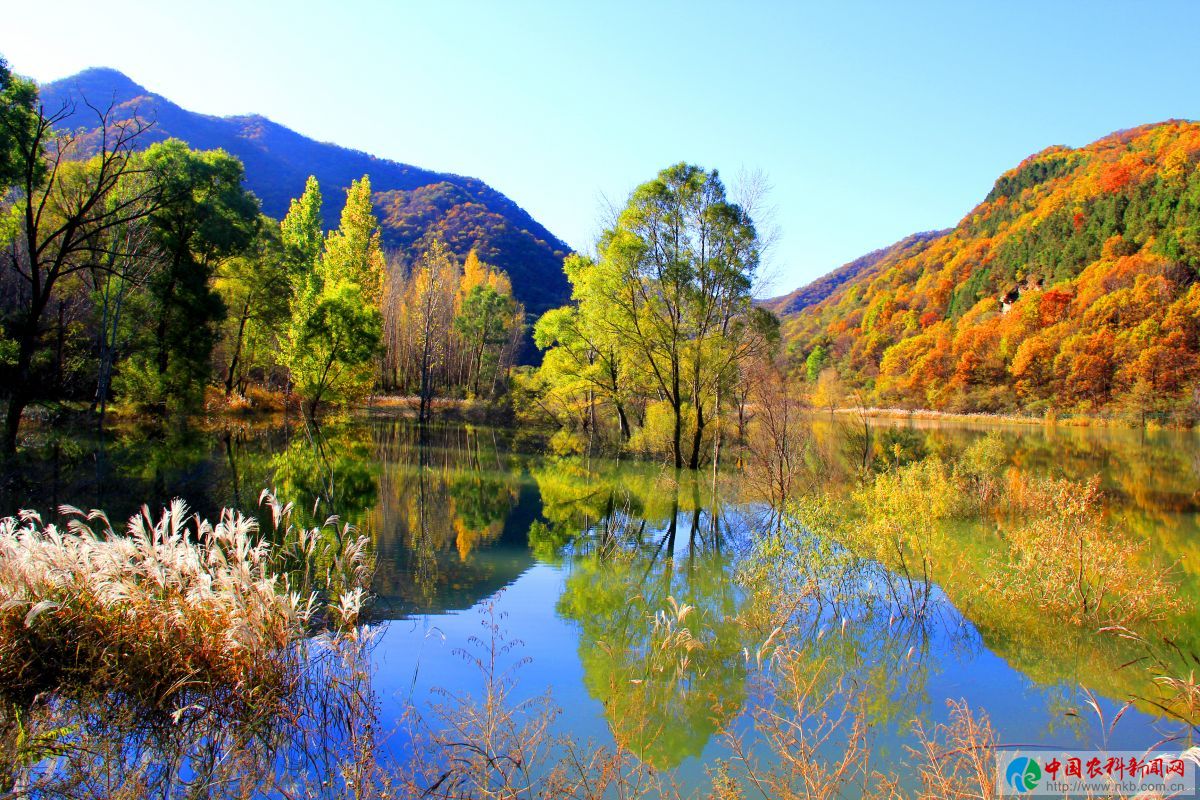尧门河水库秋景