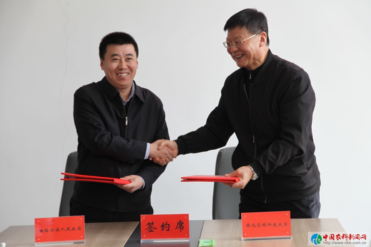 签约1