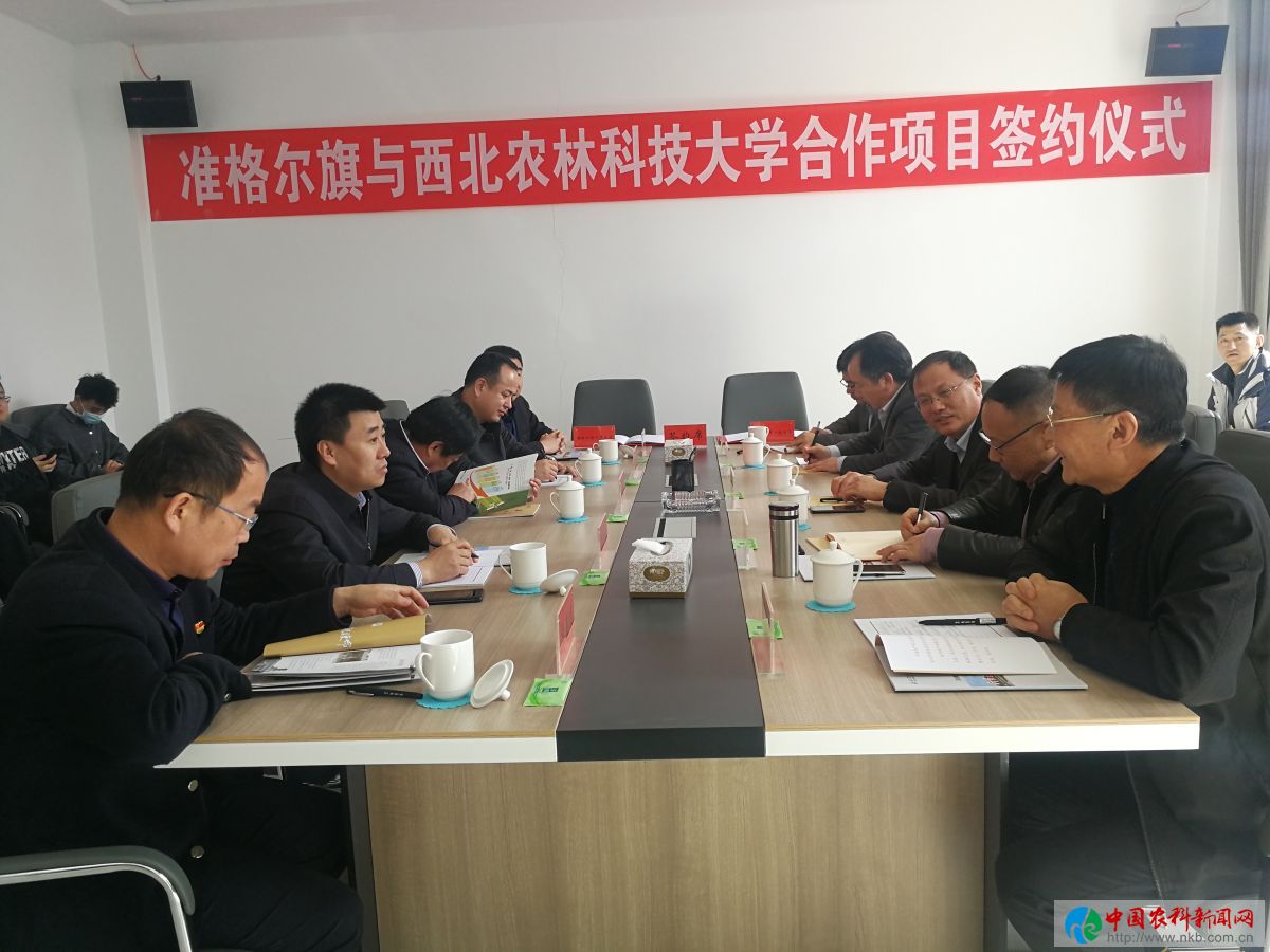 座谈会现场