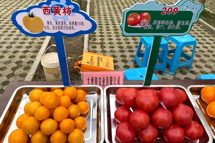 e0772bedb20e4403c3a11834fa679cea.png