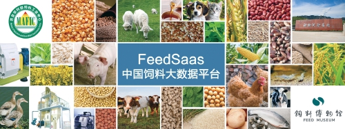 豬雞飼料玉米豆粕減量替代技術(shù)方案