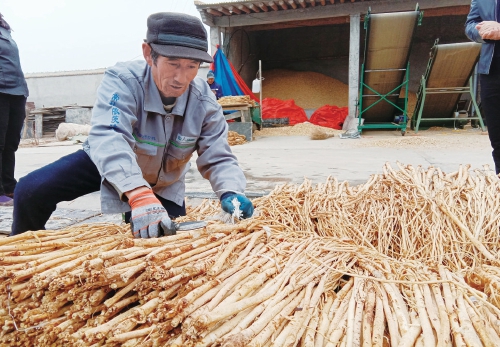 從“苦甲天下”到隴原振興