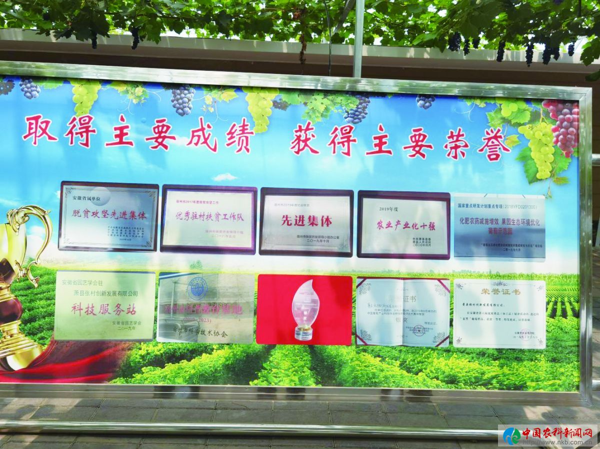 微信图片_20210811103036