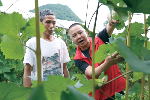 青山綠水筑品質(zhì)　科技支撐高效益