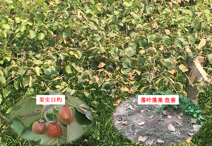 image001.png