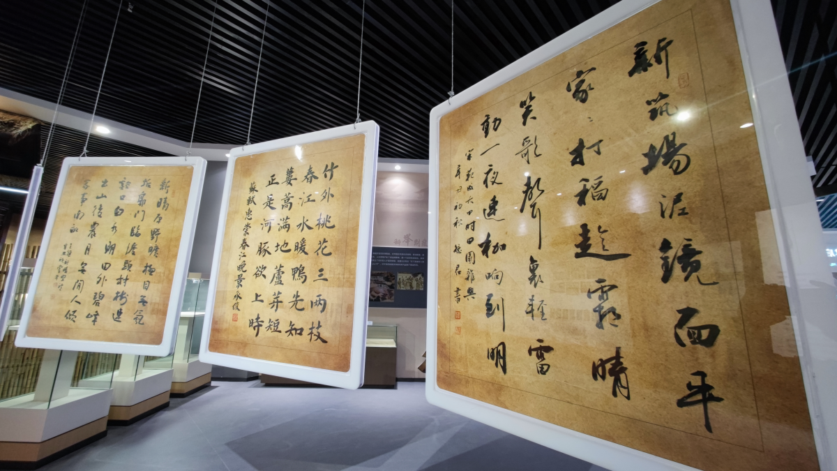 图片6
