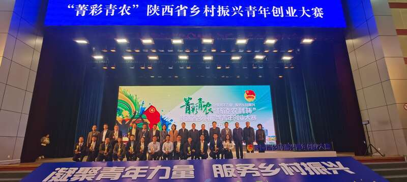 图片2