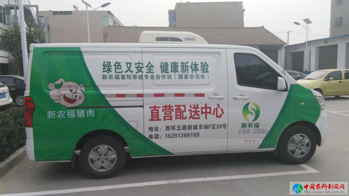 图片5