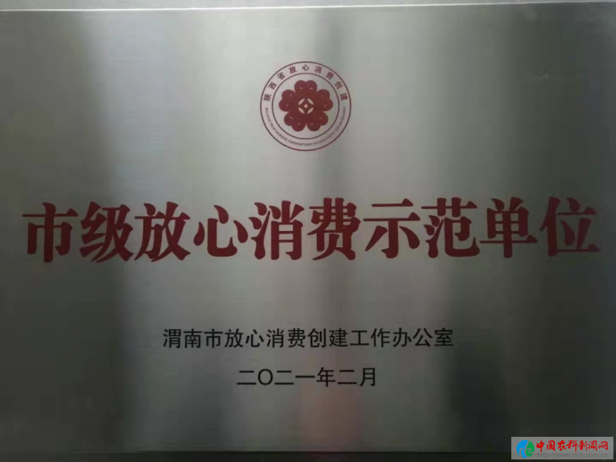 图片7