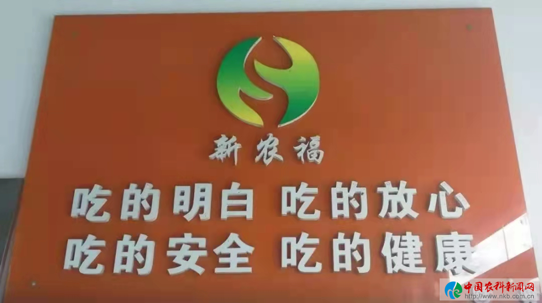 图片9