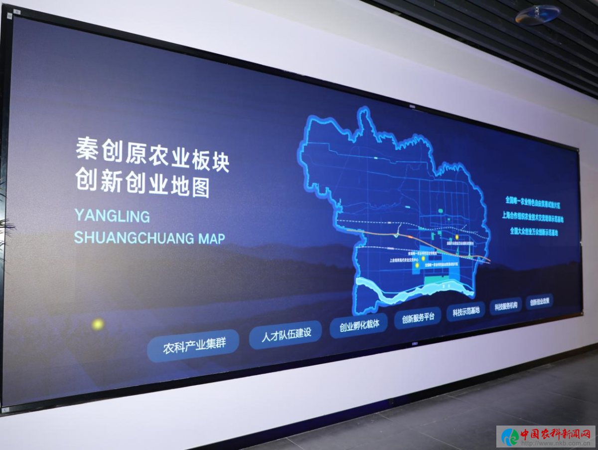 图片13