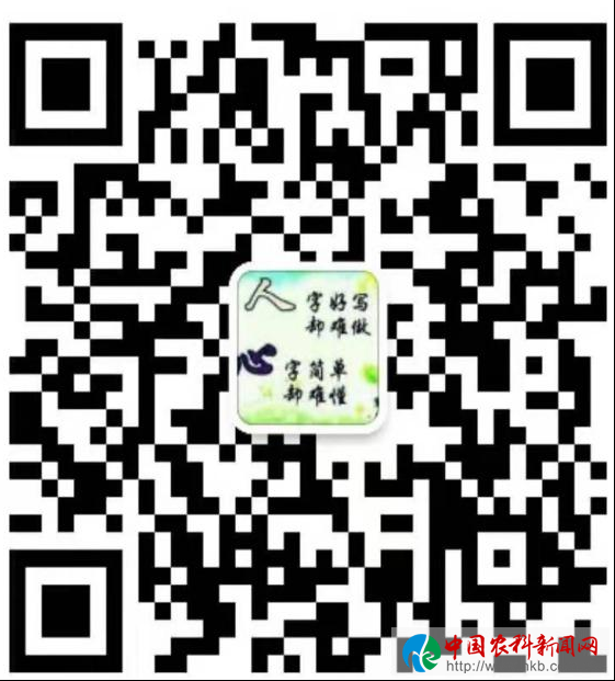 图片14