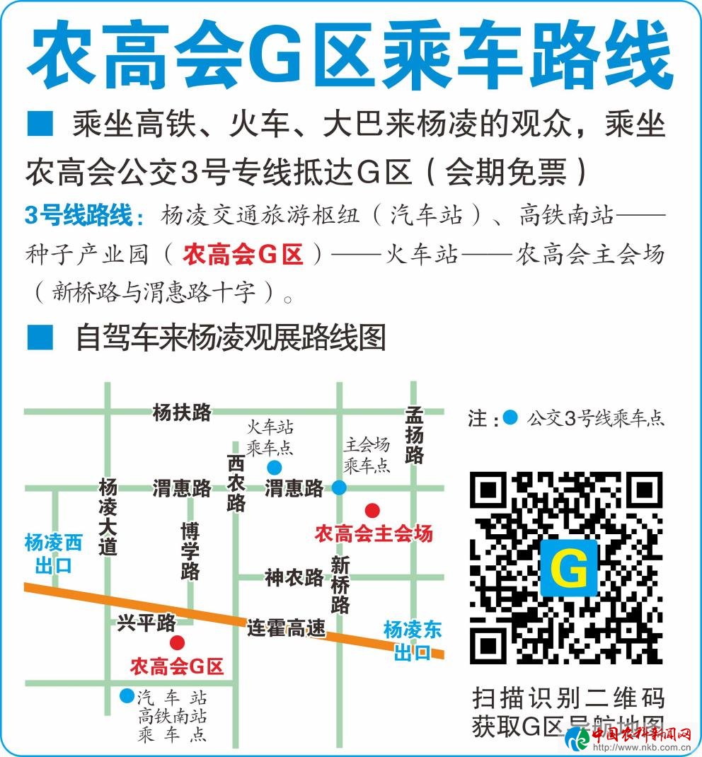 图片20