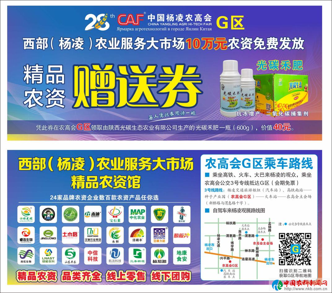图片22