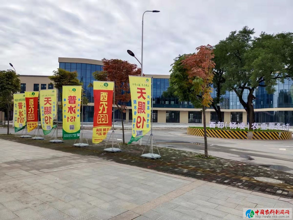 微信图片_20211018203154