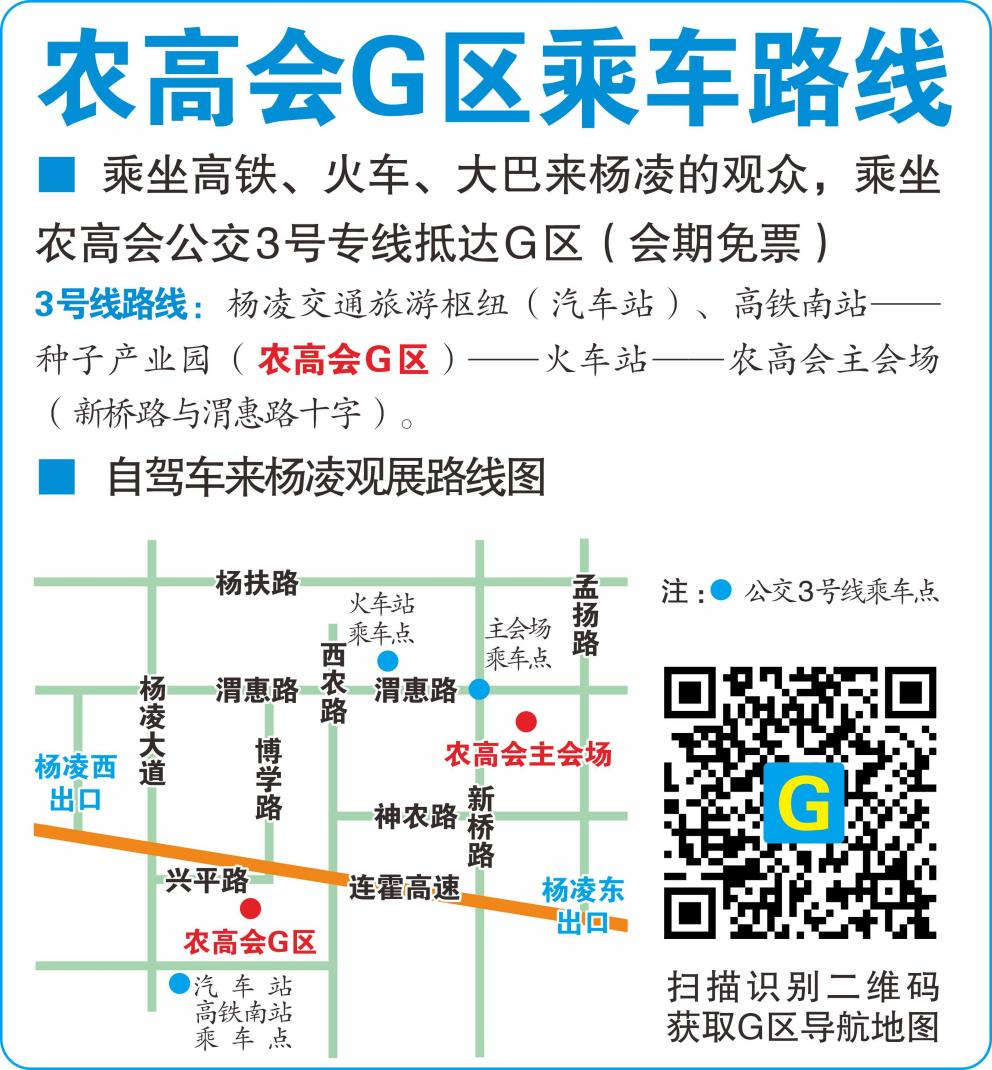 图片26