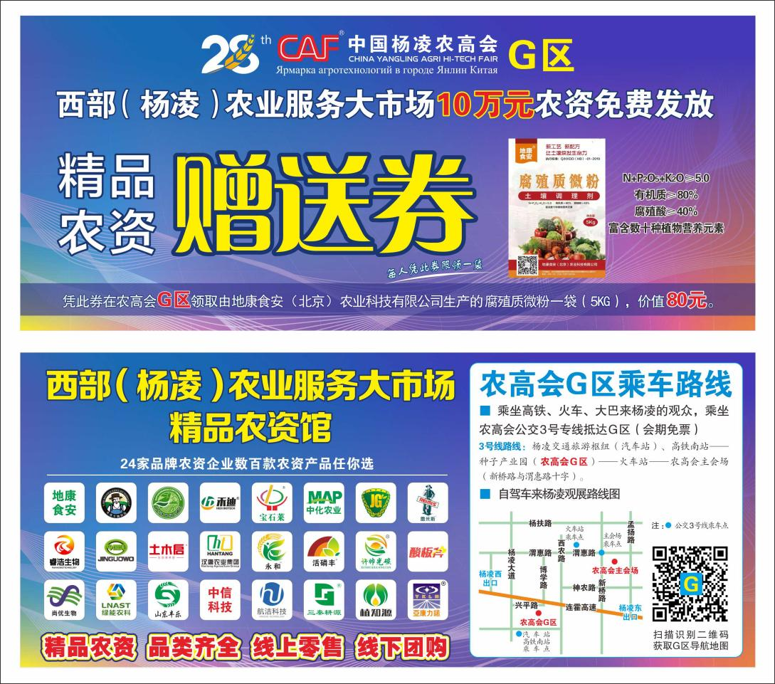 图片28