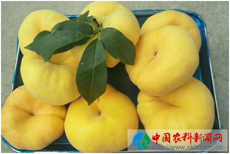 图片2